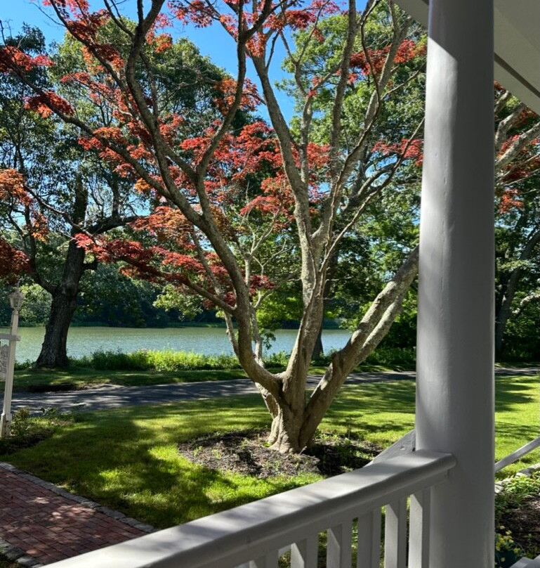 House on Chase Creek主图