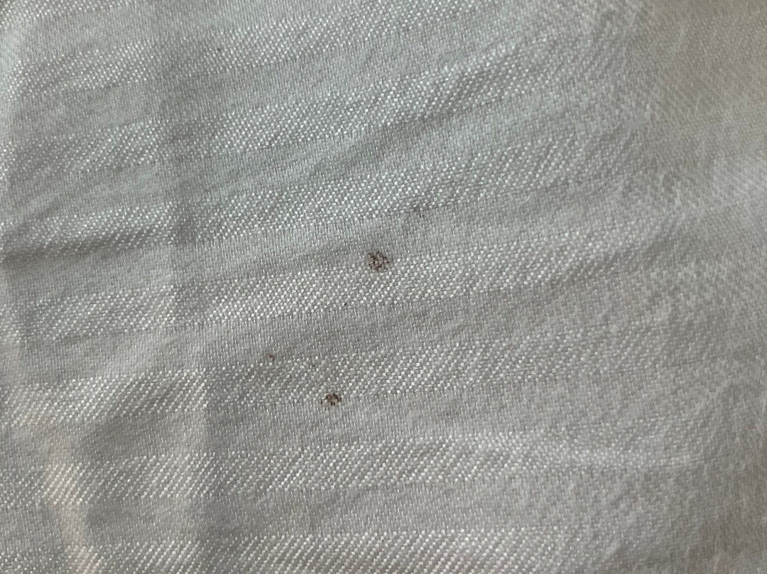 The Hamilton Alpharetta, Curio Collection by Hilton主图