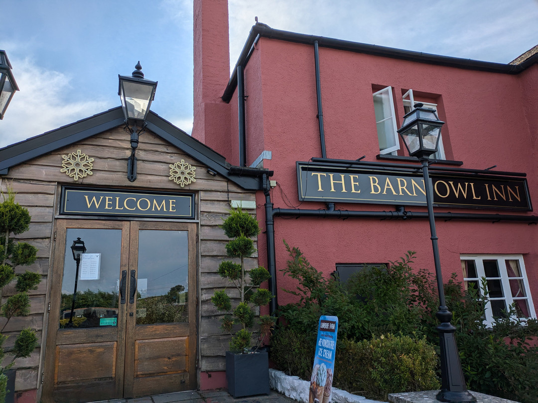 The Barn Owl主图