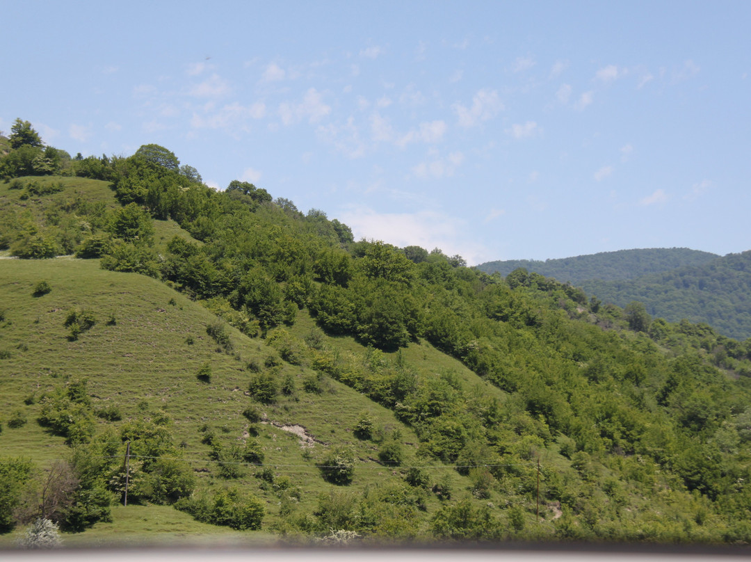 Gombori Pass-Telavi必去景点