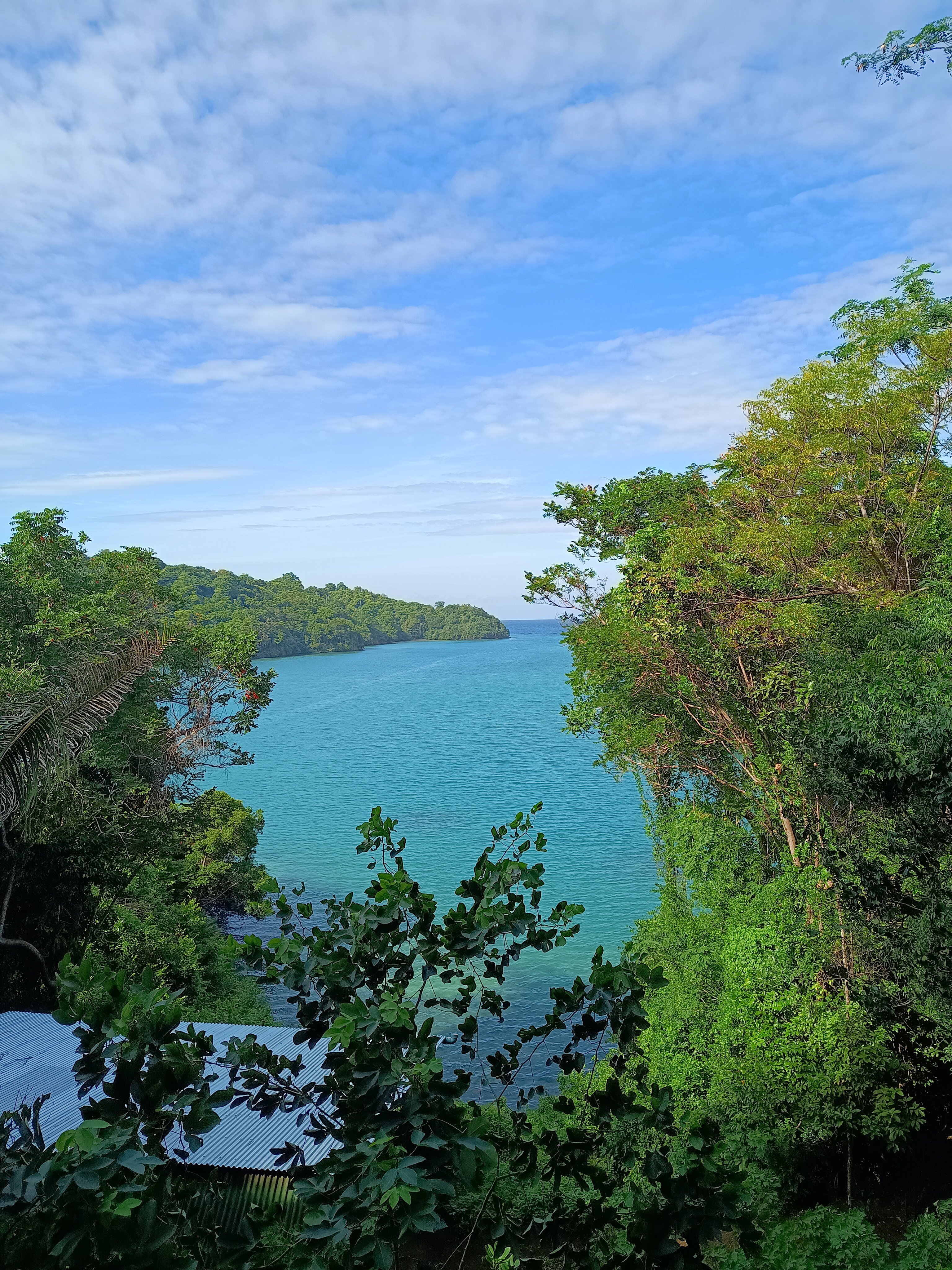 Divers Lodge Lembeh-客卧