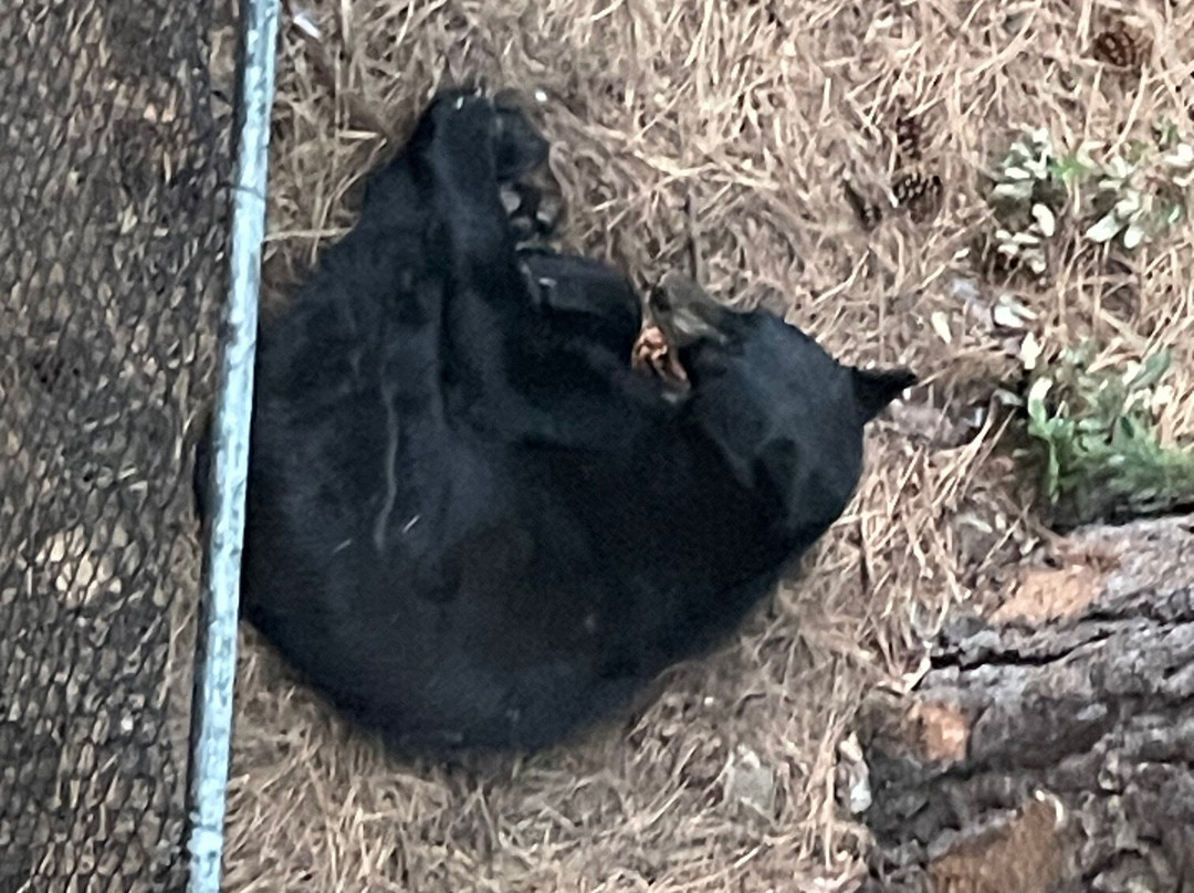 茵克莱公园酒店主图