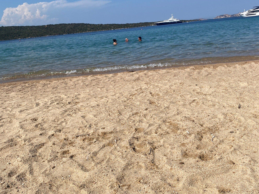 Spiaggia Porto Liscia-圣特雷莎加卢拉必去景点