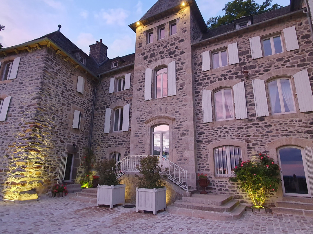 Château du Puech主图