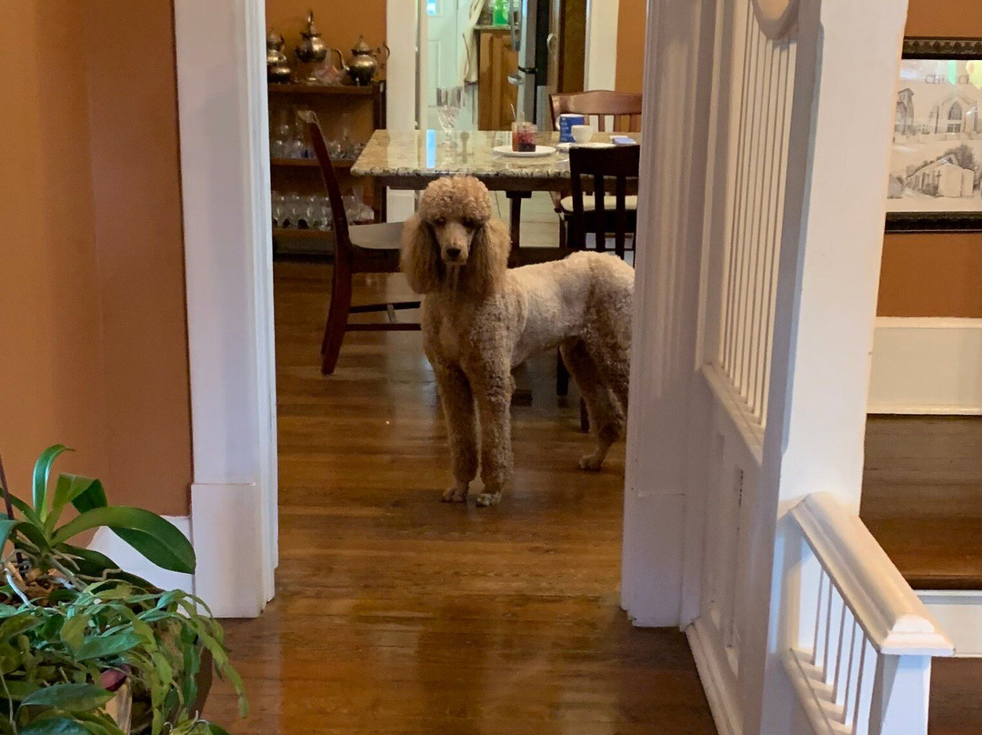 Janssen Park Place B&B主图