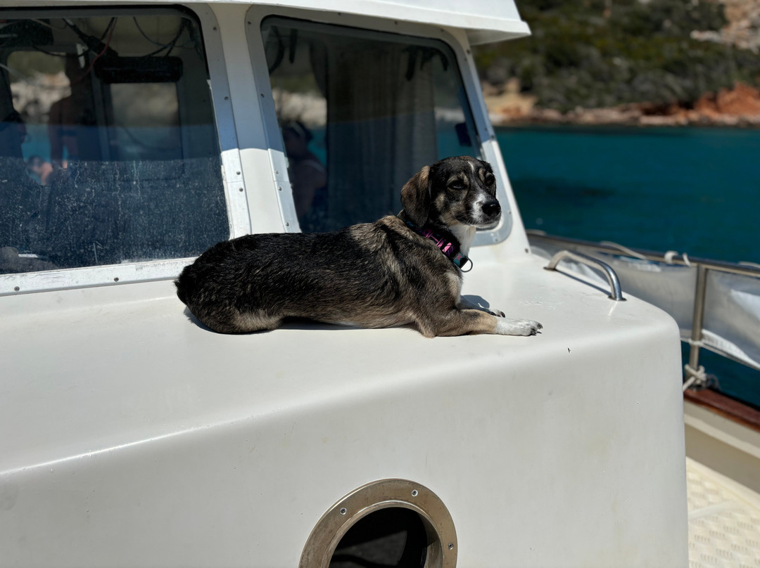 Fishing Tourism Alexandros-Methoni必去景点