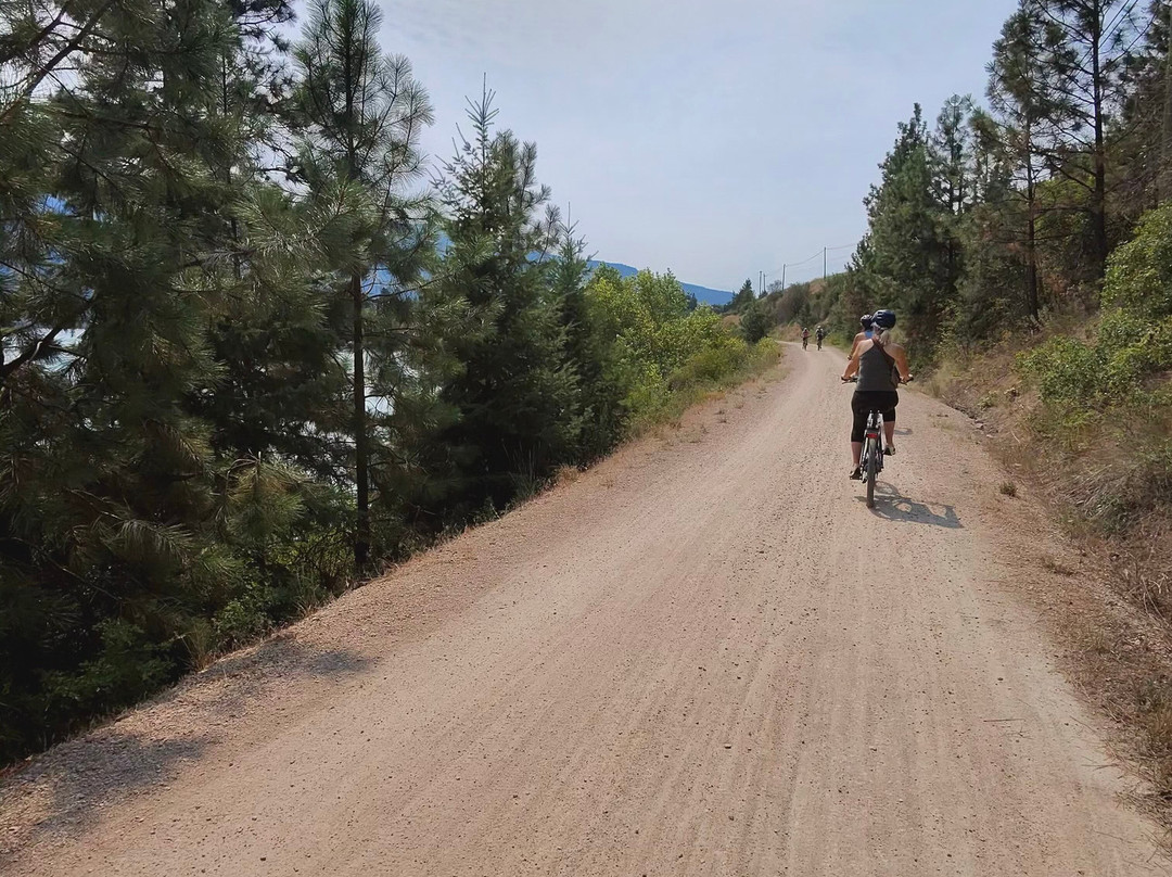 Kalavida Surf Shop-弗农必去景点