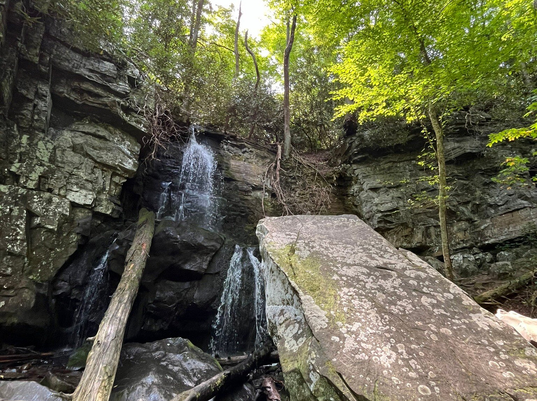 Baskins Creek Falls-大雾山国家公园必去景点