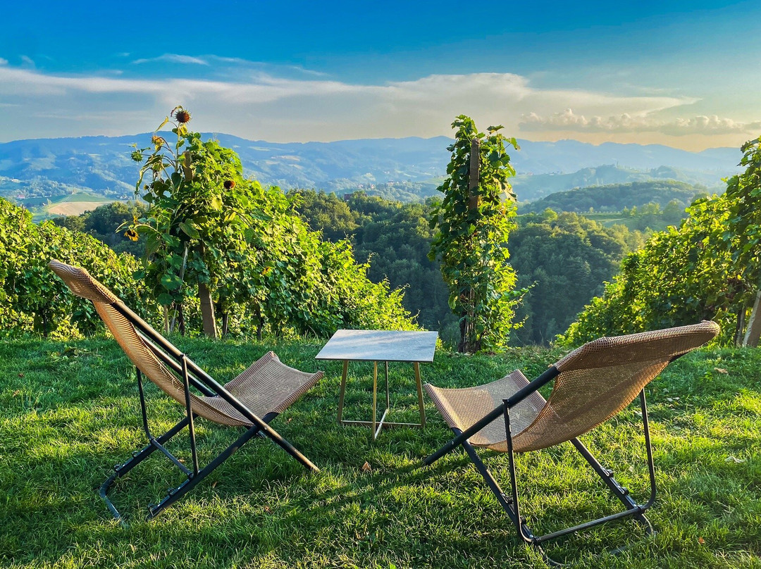 Šerbinek Winery & the Heart-Shaped Wine Road-Zgornja Kungota必去景点