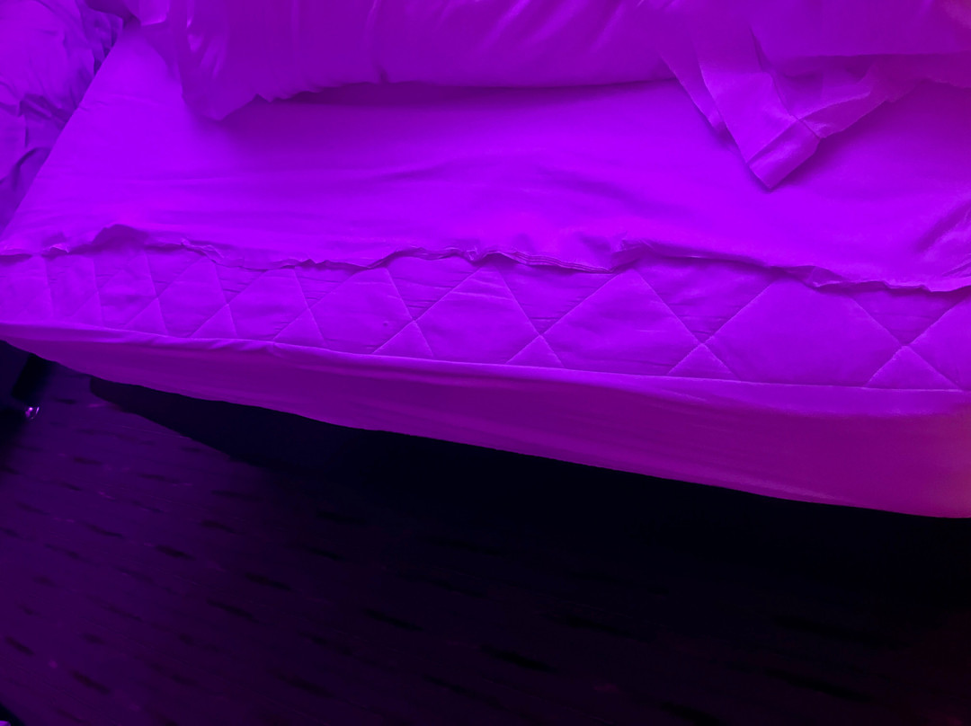 Premier Inn Alnwick hotel主图