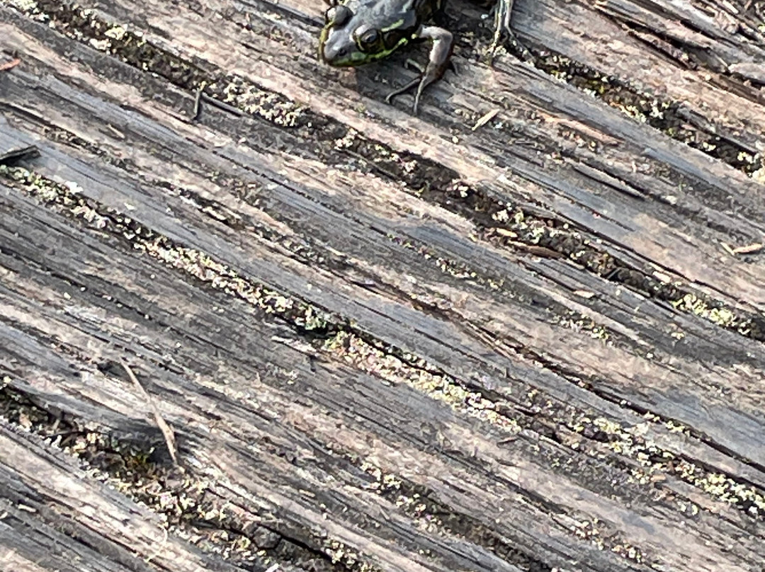 Pourvoirie Au pays de Réal Massé-Saint Zenon必去景点