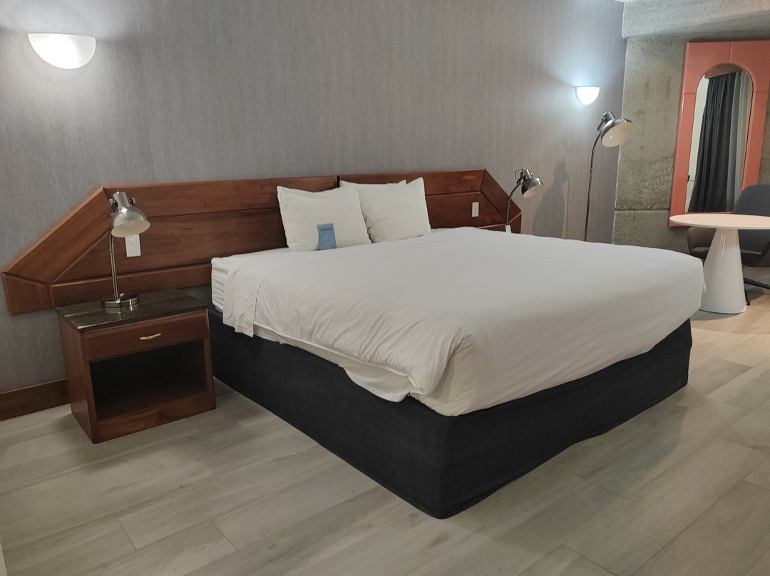 哥斯达黎加圣何塞丽笙酒店主图