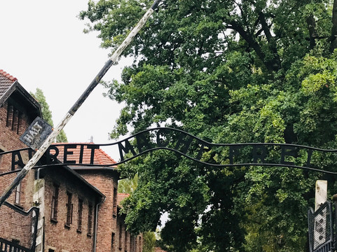 SeeKrakow Day Tours-克拉科夫必去景点