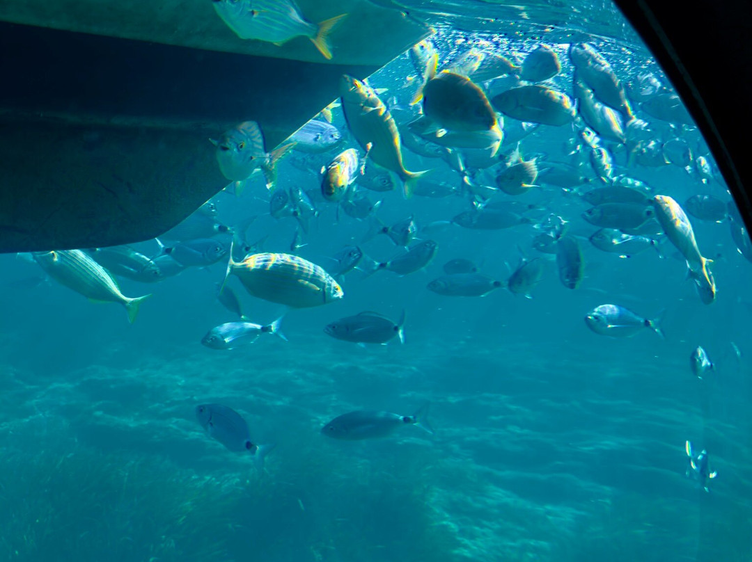 AQUAVISION-Six-Fours-les-Plages必去景点