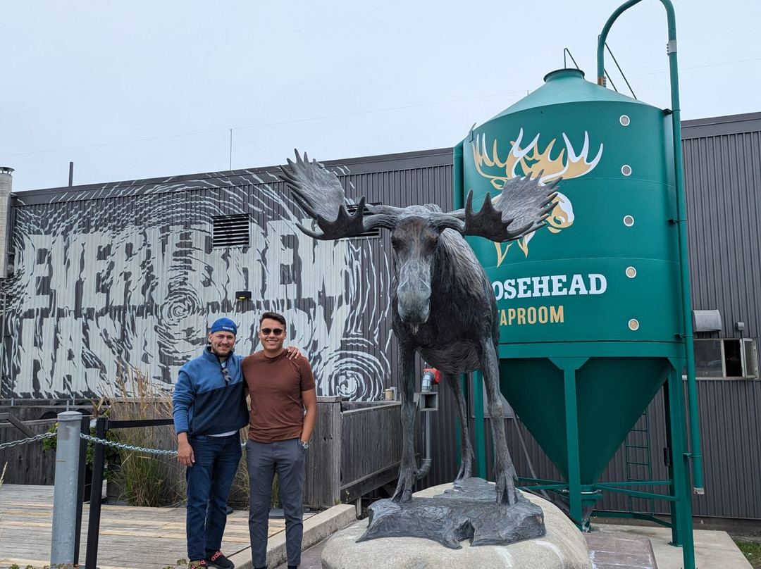 Moosehead Breweries-圣约翰必去景点