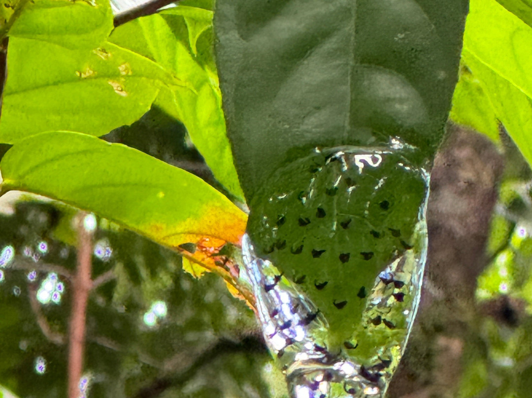 Pacheco Tours-德雷克湾必去景点