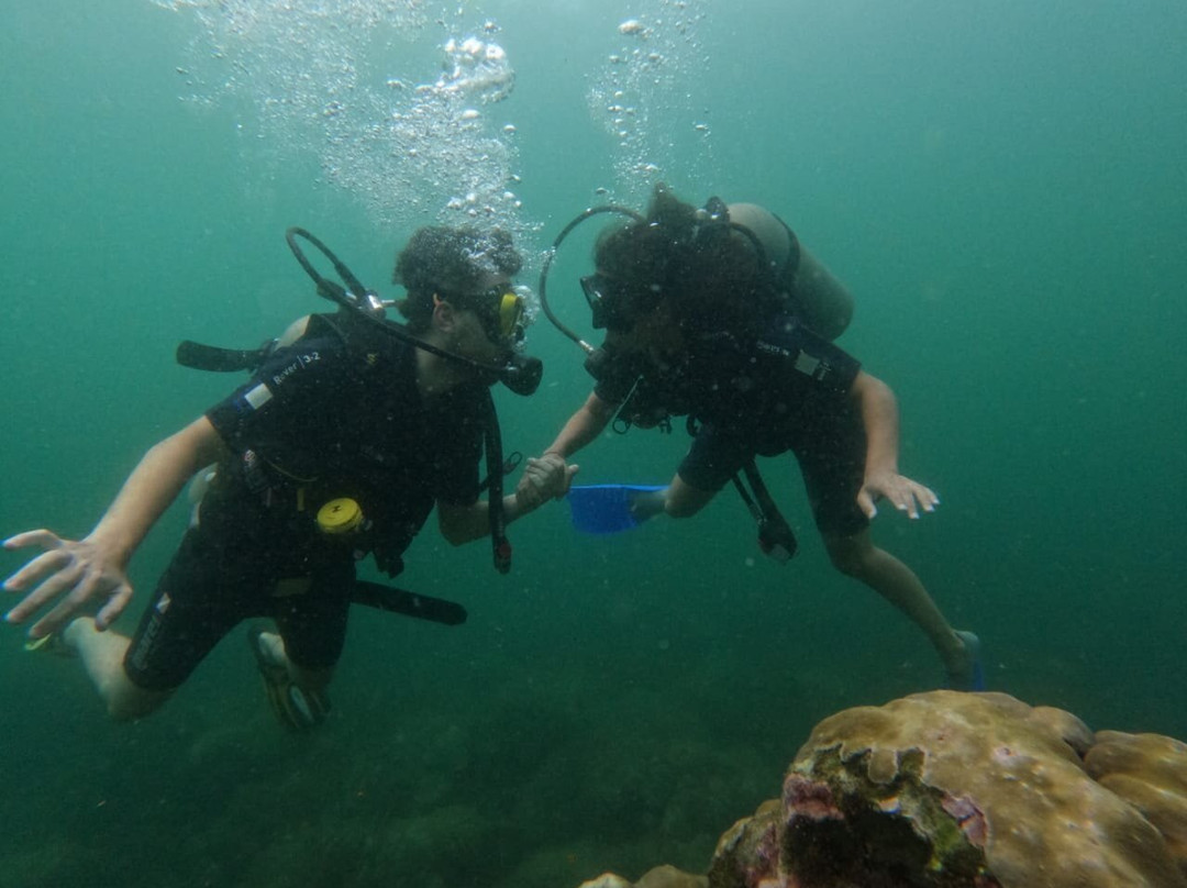 Angel Diving-Trincomalee必去景点