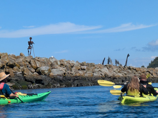Ballard Kayak & Paddleboard-西雅图必去景点