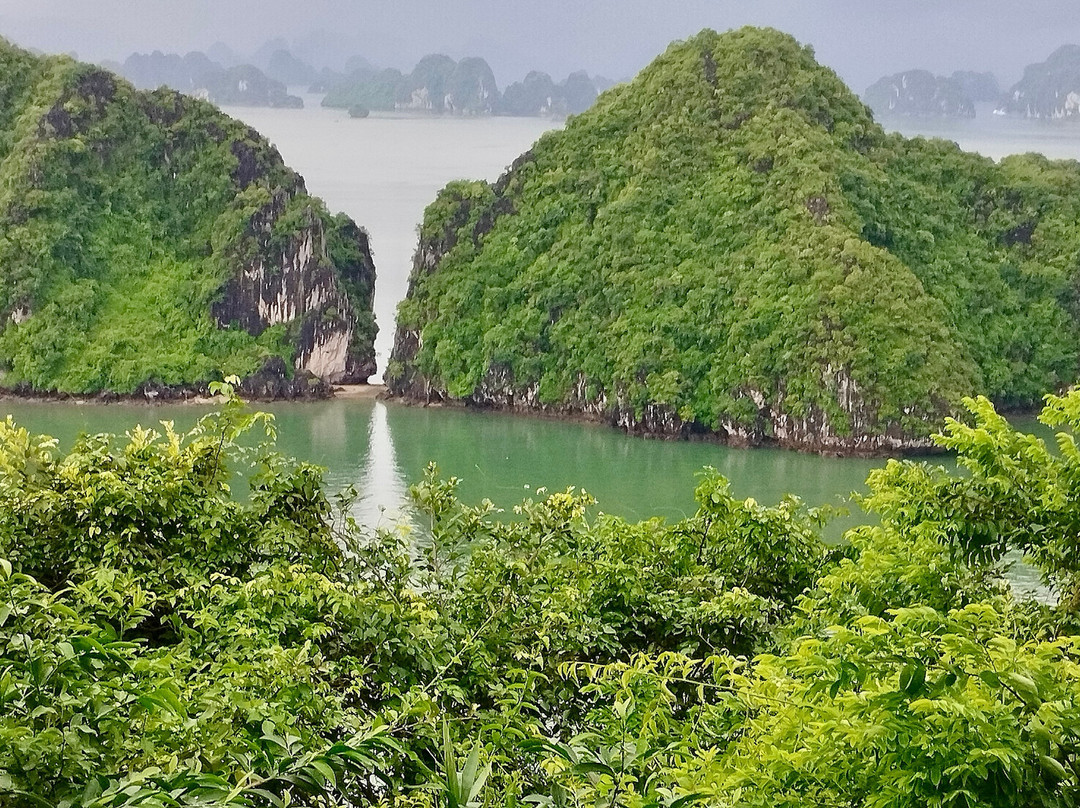 Indochina Sails景点图片