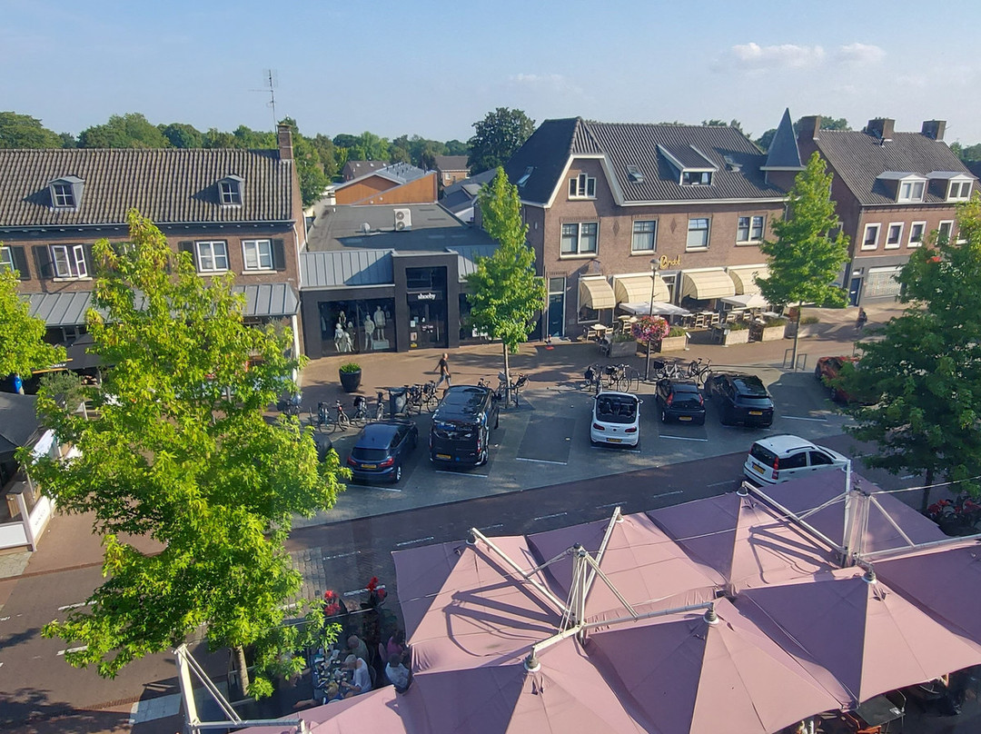 Het Wapen van Elst主图