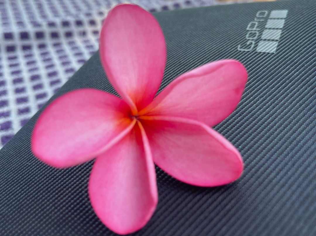 潘卡科酒店主图