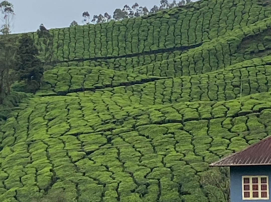Keraladewdrops tours景点图片