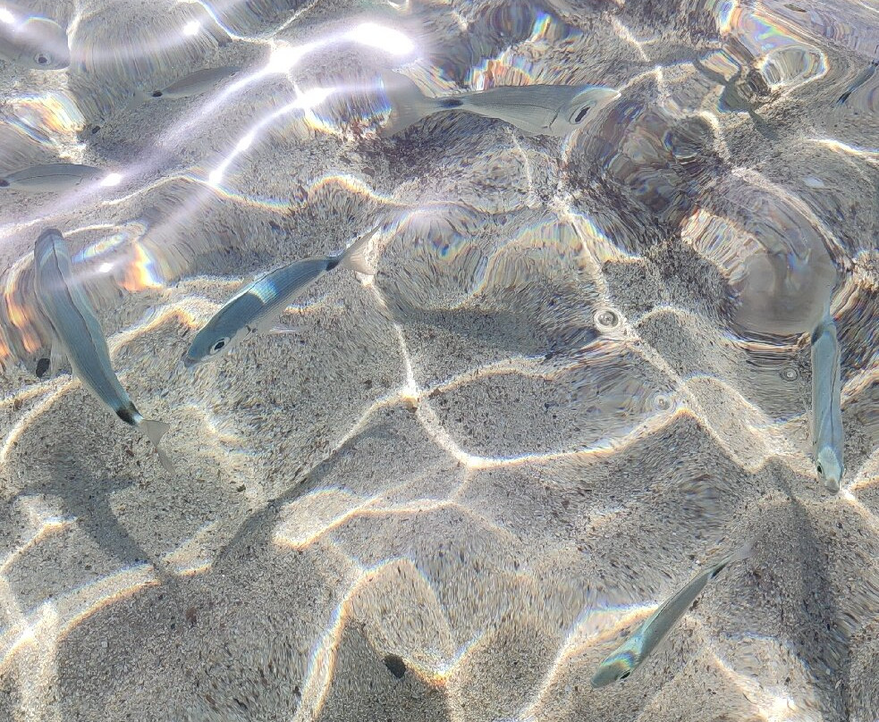 Cala Caterina Beach-维拉西谬斯必去景点