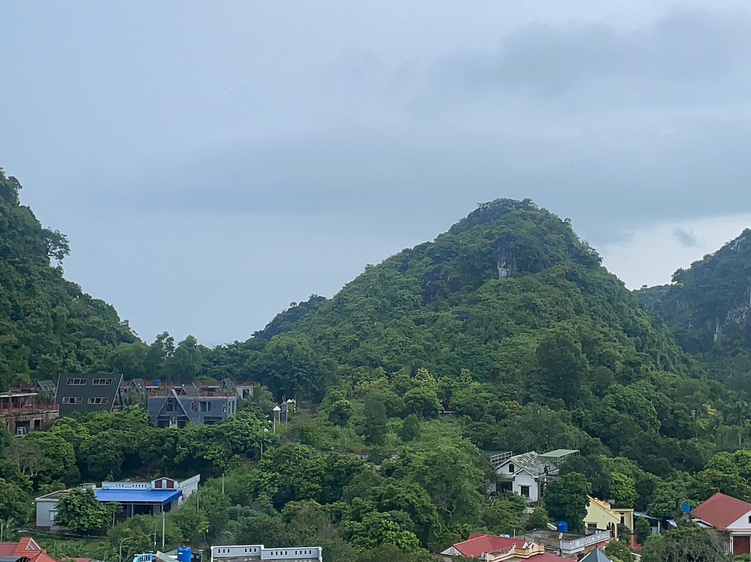 Eden Hotel Cat Ba主图