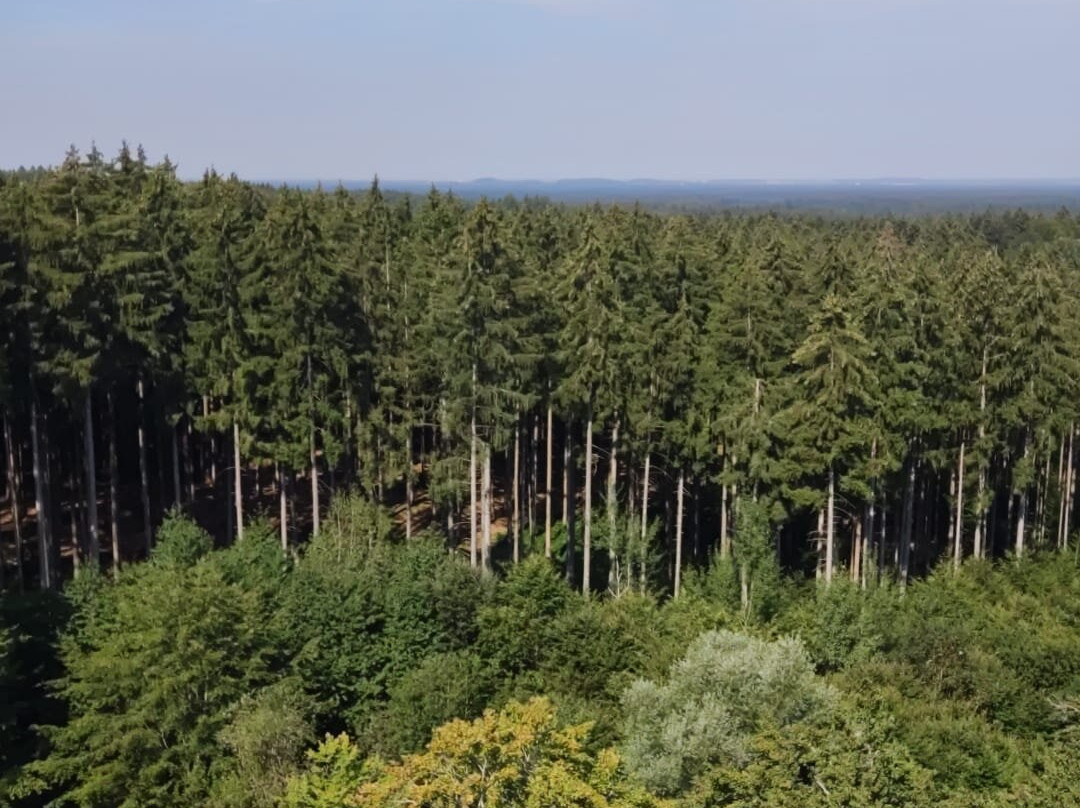 Ebersberg Turm-Ebersberg必去景点