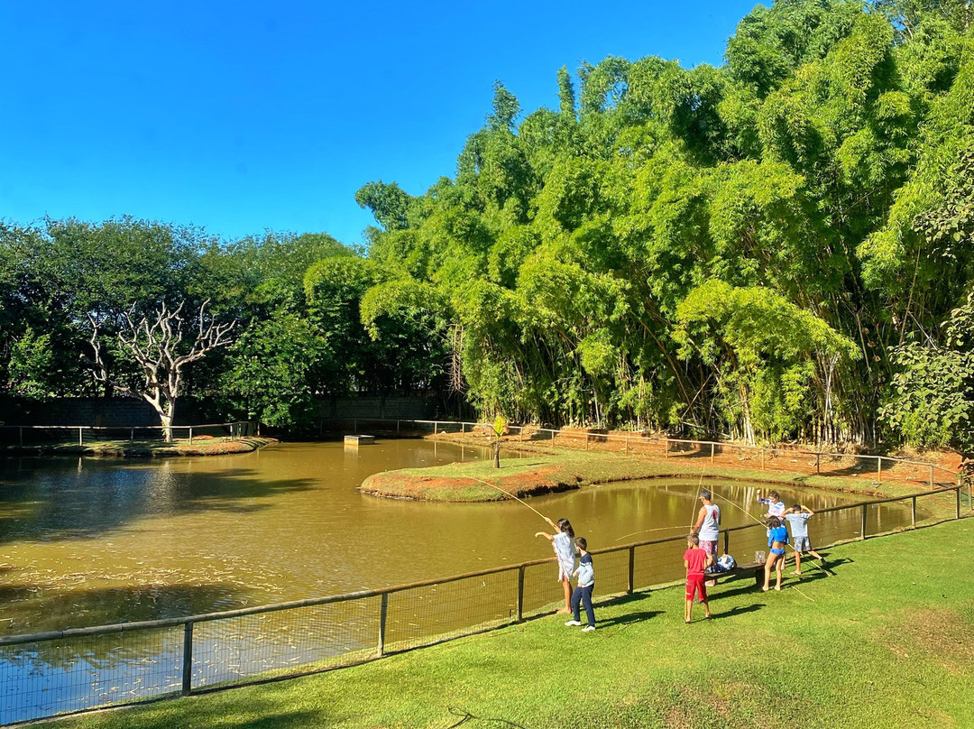 Maquiné Park Hotel主图