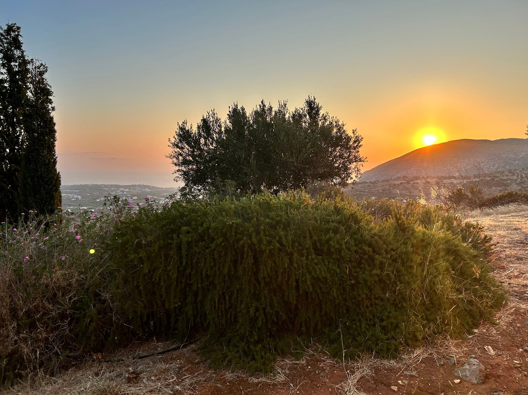 Village Heights Resort主图