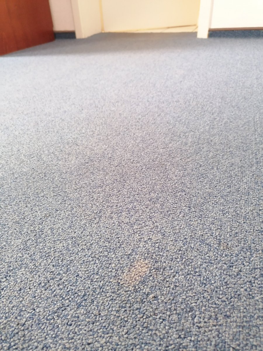 Ilsenburger Hof-客卧