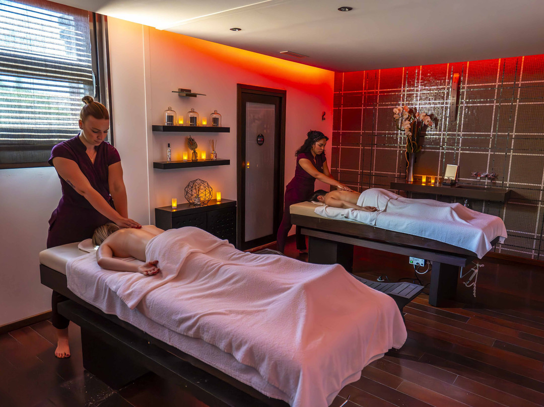 Clapiers旅游景点-Institut Spa Le Nid'O