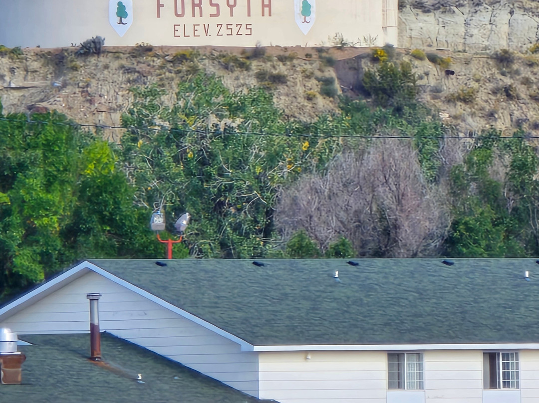 Westwind Motor Inn主图