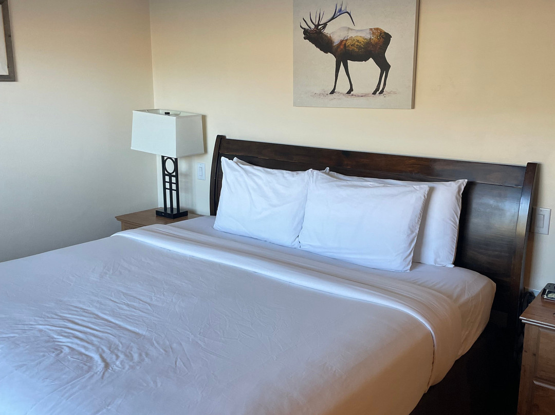 糜鹿保护区酒店主图