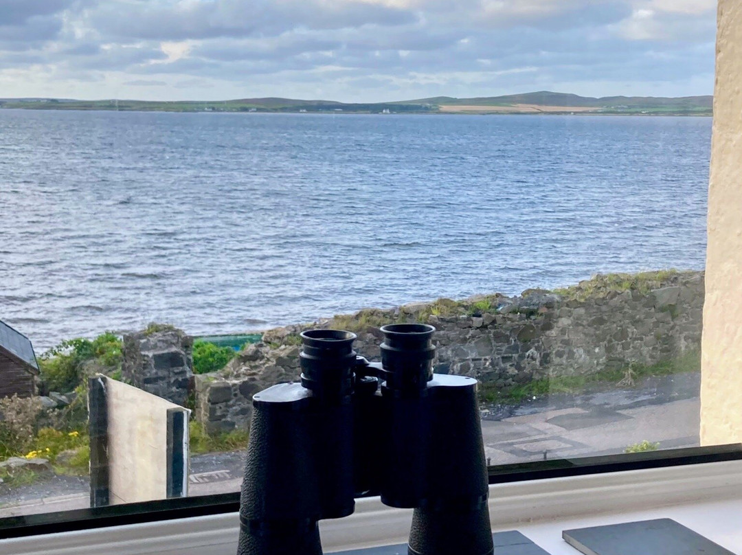 The Bowmore House主图