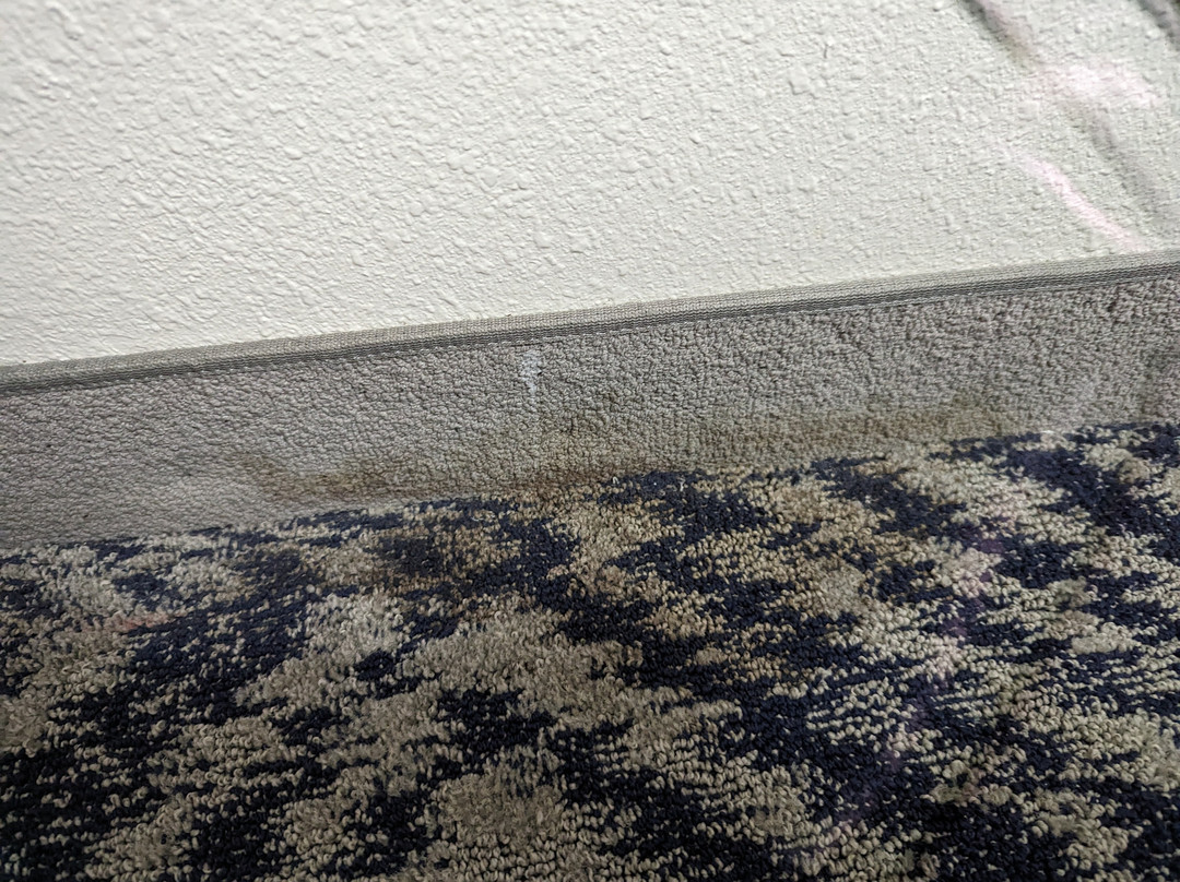 Candlewood Suites Lafayette - River Ranch by IHG主图