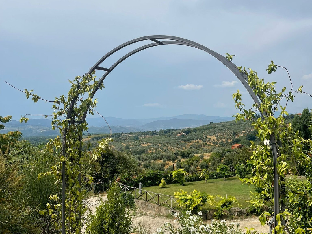 Fattoria degli Usignoli主图