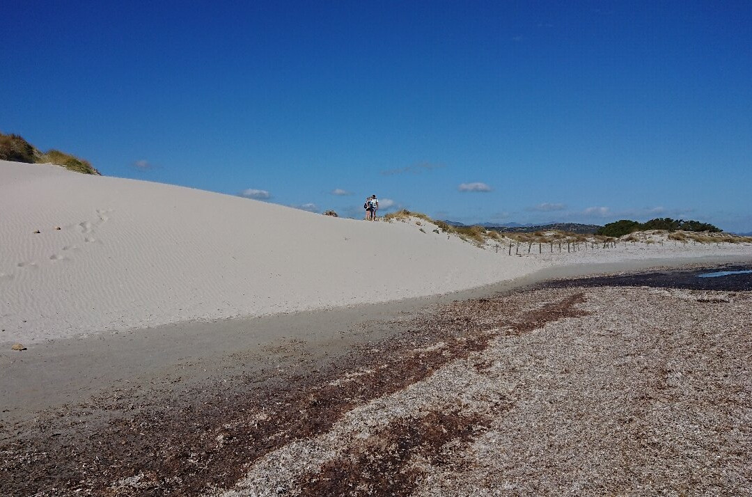 Spiaggia Del Moletto-Siniscola必去景点