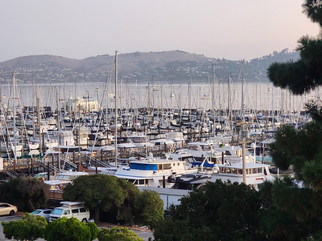 野草莓Spa酒店主图