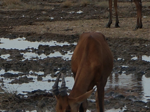 Dunas Safari-温德和克必去景点