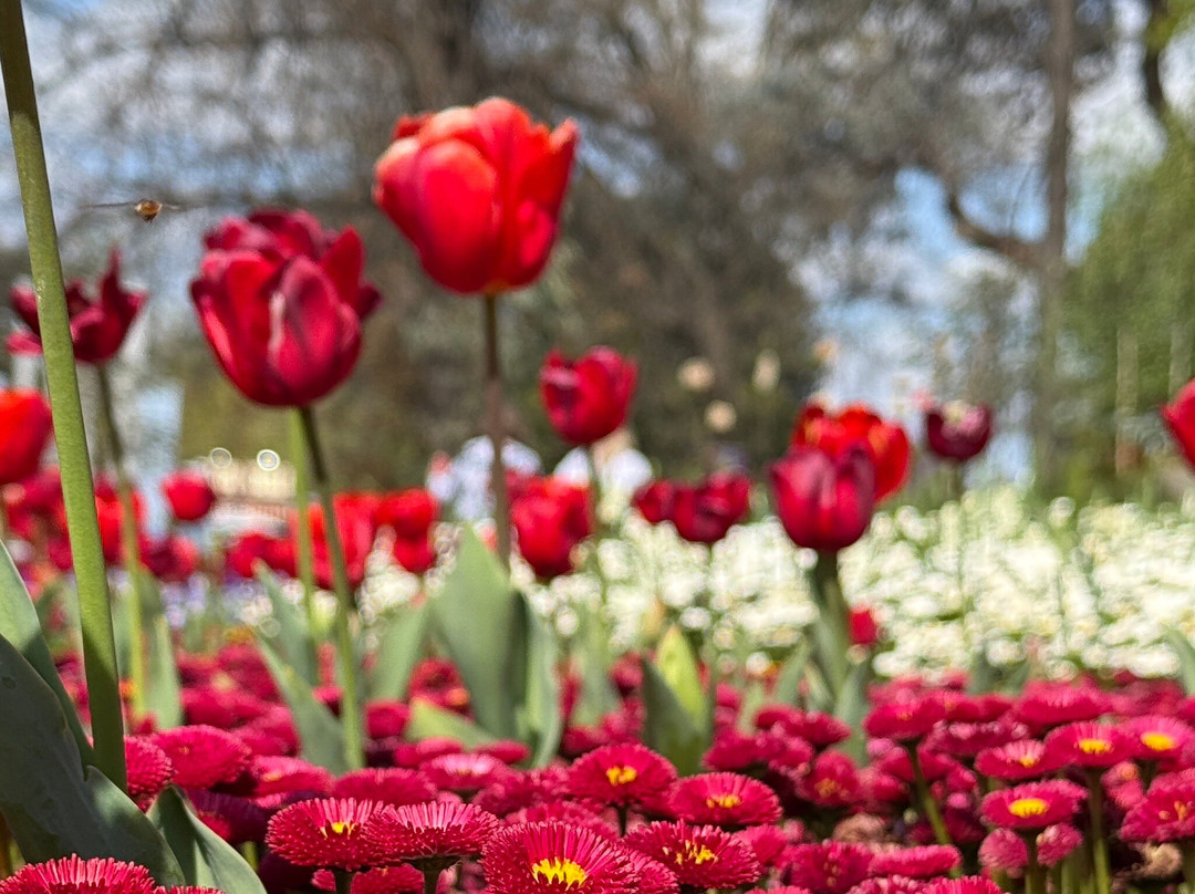 Floriade景点图片