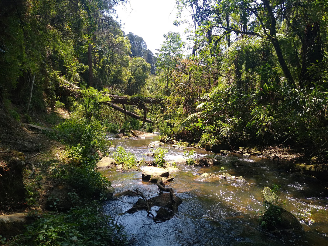 Trilha das Corredeiras do Itapuá-蒙特贝尔德必去景点