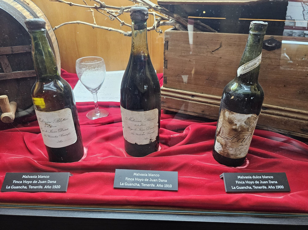 Casa Del Vino de Tenerife-El Sauzal必去景点