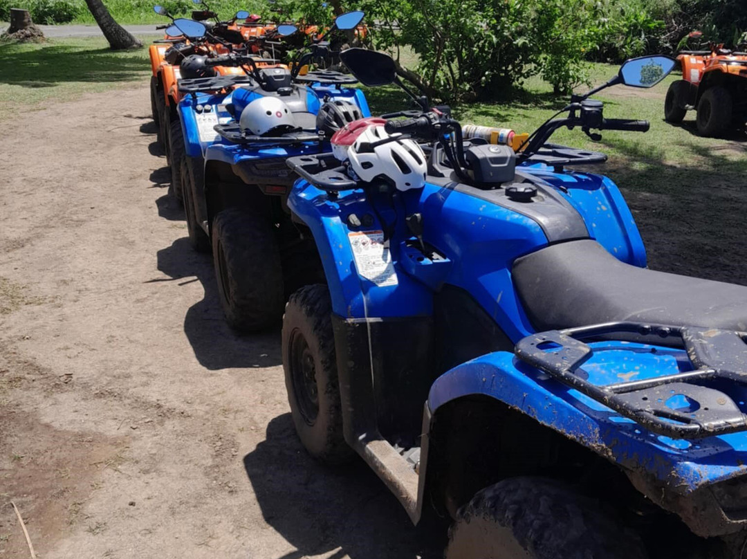 Raro Quad Tours-穆里必去景点
