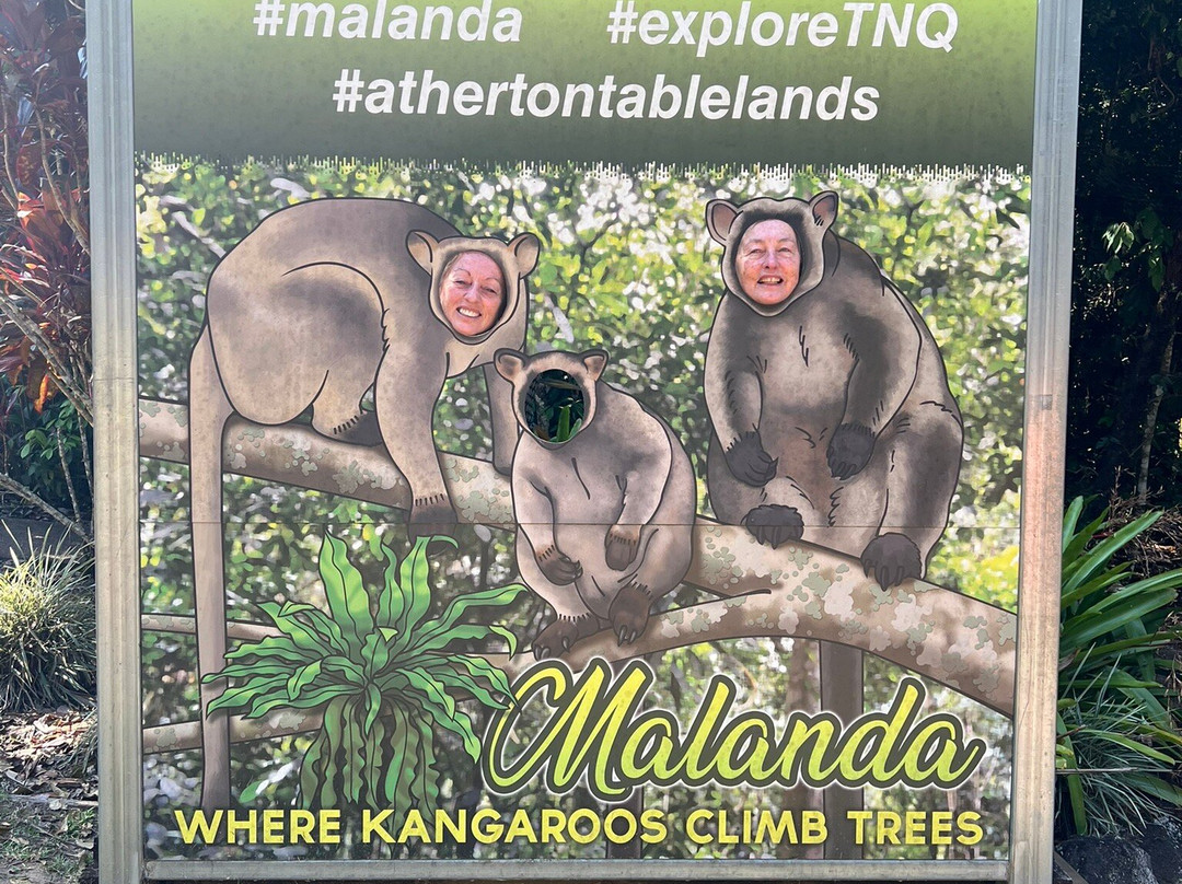 Malanda Falls-马兰达必去景点