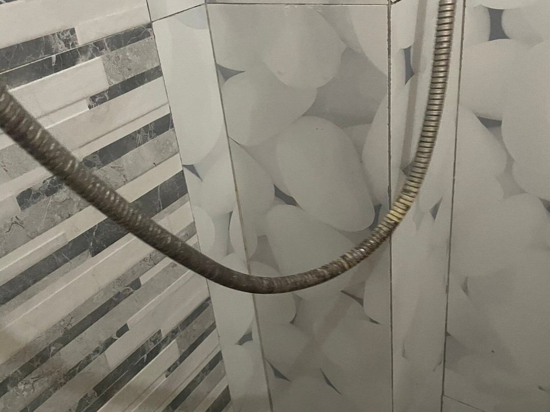 棕榈树酒吧度假村