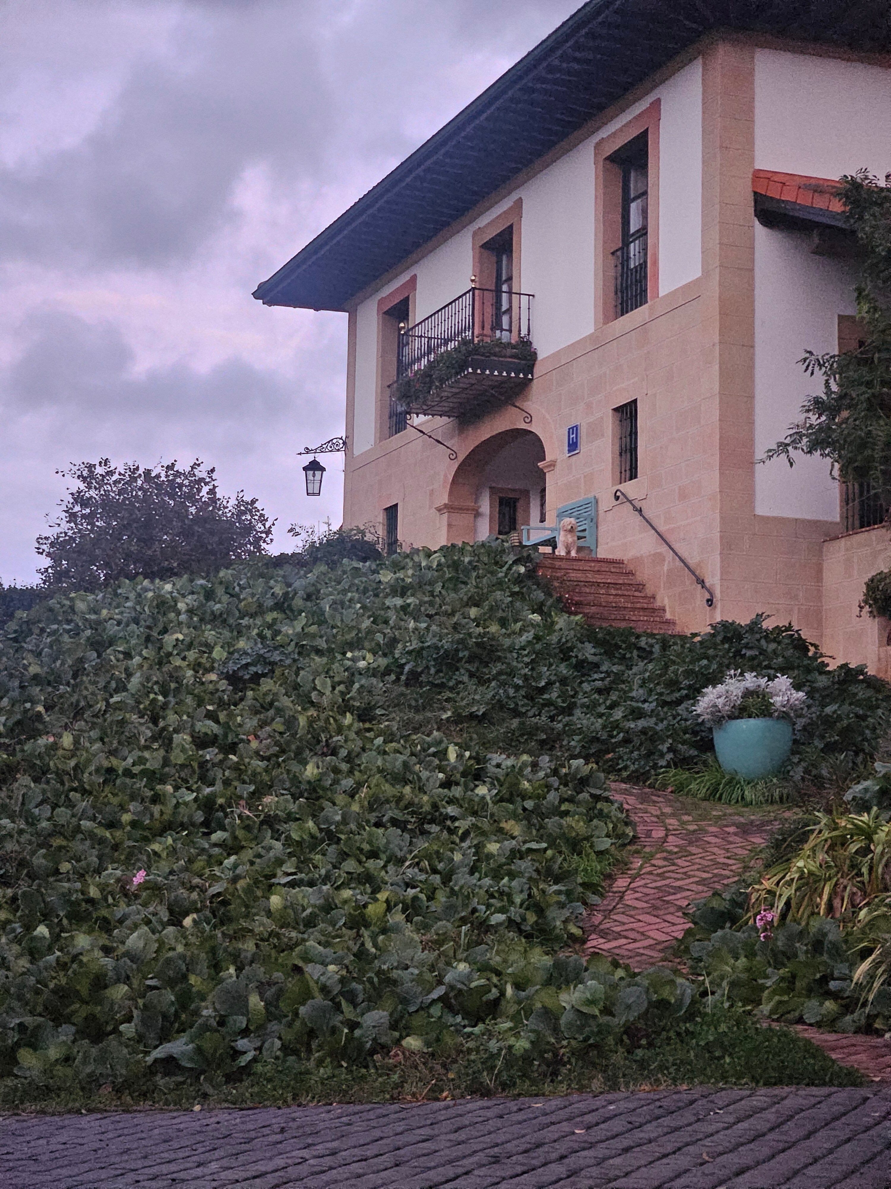 Hotel Ibarra-官方