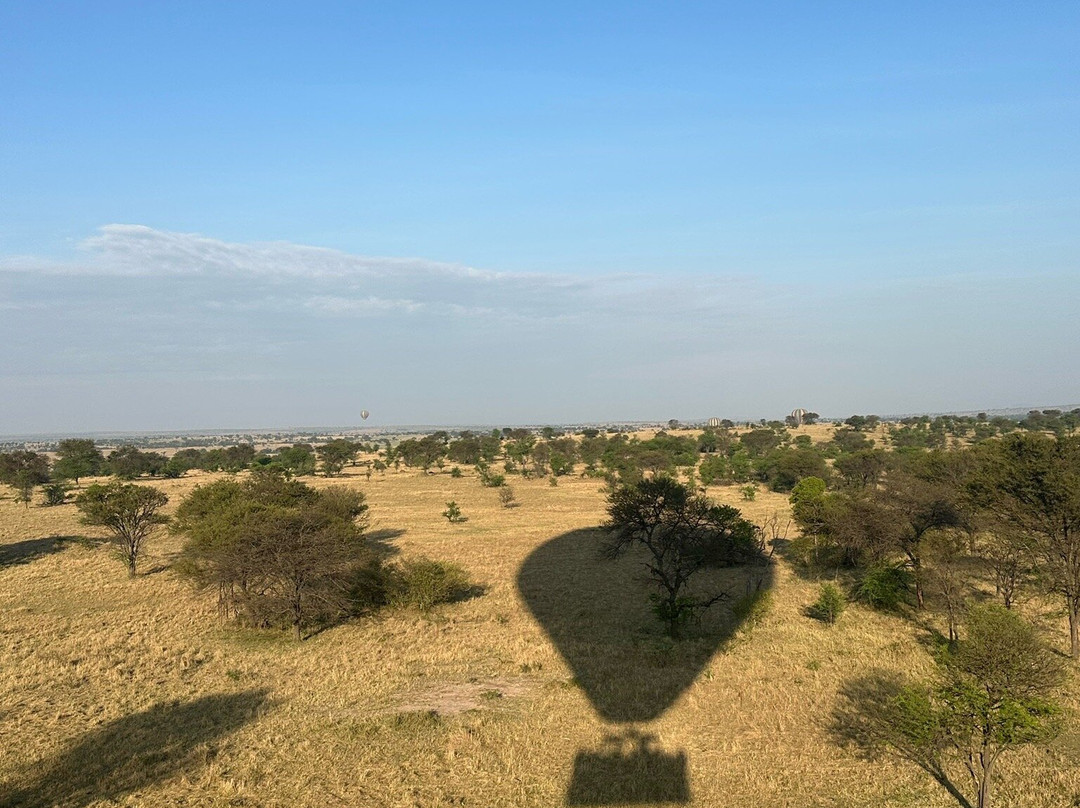 World Lineage Safaris-内罗毕必去景点