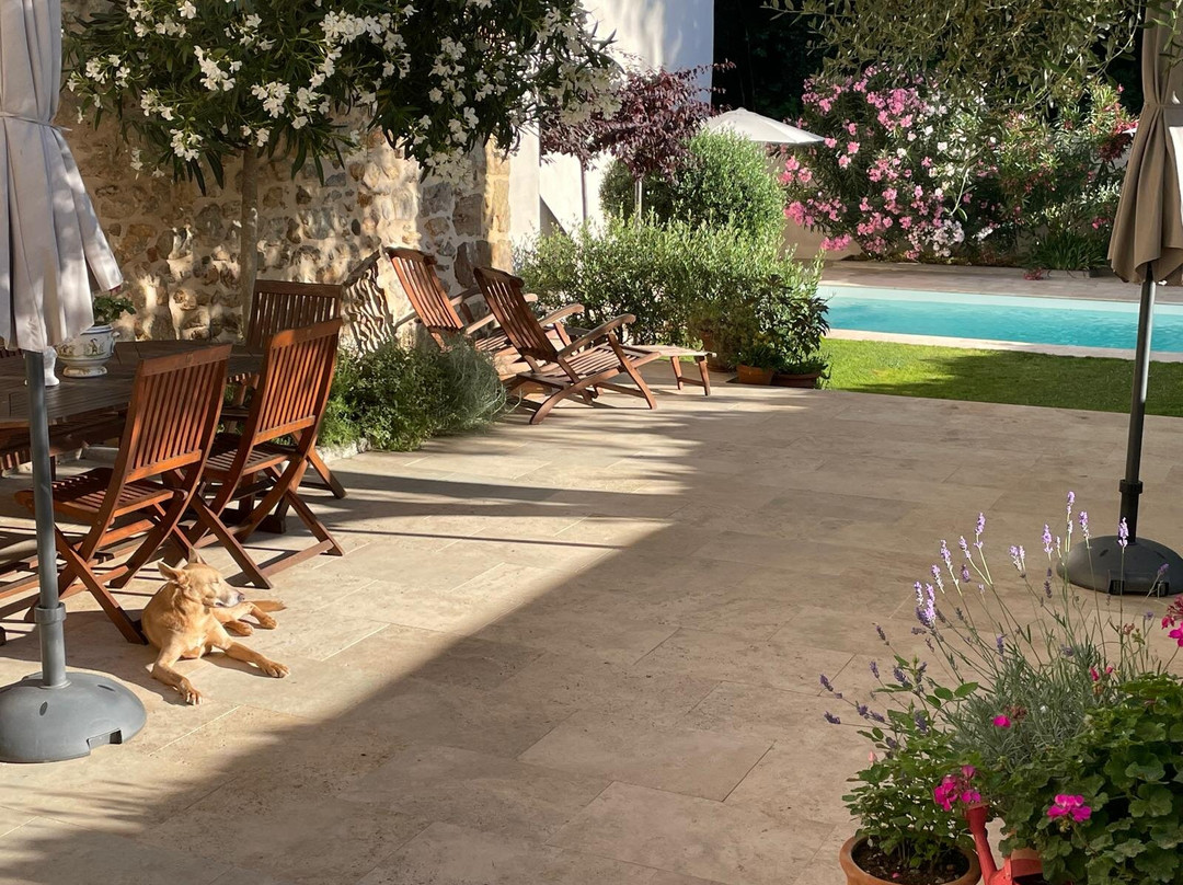 Maison La Vie Est Belle主图